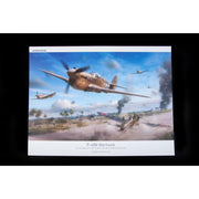 Eduard 1/48 P-40N Warhawk Royal Class Dual Combo Plastic Model Kit