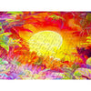 Enjoy 2200 Rainbow Tropic 1000pc Jigsaw Puzzle
