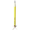 Estes 1260 No. 2  Sky Writer Beginner Model Rocket Kit (18mm Standard Engine)