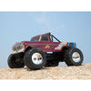 FMS 1/10 Ford F100 RTR High Roller