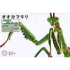 Fujimi Biology Edition Big Mantis Metallic Green FI No.23 EX-3 17111