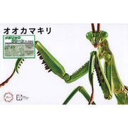 Fujimi Biology Edition Big Mantis Metallic Green FI No.23 EX-3 17111