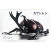 Fujimi Biology Edition Beetle FI No.21
