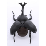 Fujimi Biology Edition Beetle FI No.21