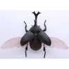 Fujimi Biology Edition Beetle FI No.21