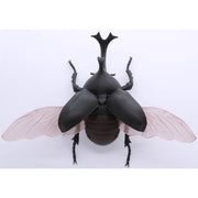Fujimi Biology Edition Beetle FI No.21