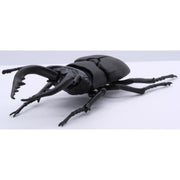 Fujimi Biology Edition Stag Beetle FI No.22
