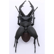 Fujimi Biology Edition Stag Beetle FI No.22