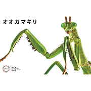 Fujimi Biology Edition Big Mantis FI No.23