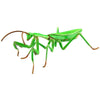 Fujimi Biology Edition Big Mantis FI No.23