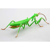 Fujimi Biology Edition Big Mantis FI No.23