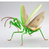 Fujimi Biology Edition Big Mantis FI No.23