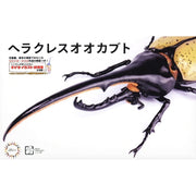Fujimi Biology Edition Dynastes Hercules You Morinaga Explanatory notes and Instructions ver. 4968728171463