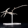 Bandai 5066282 Plannosaurus Pteranodon Dinosaur