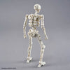 Bandai 5072522 Dlroskeleton 30MF