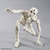 Bandai 5072522 Dlroskeleton 30MF