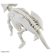 Bandai Plannosaurus Pachyrhinosaurus