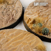Gamers Grass GGB-DR60 Battle Ready Deserts of Maahl Round Bases 60mm 2pc