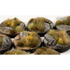 Gamers Grass GGB-HLR28 Highland Bases Round 28mm 8pc