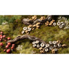Gamers Grass GGBB-FM Basing Bits Forest Mushrooms