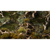 Gamers Grass GGBB-GB Basing Bits Gnarled Branches