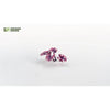Gamers Grass Laser Plants Alien Monstera