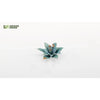 Gamers Grass Laser Plants Blue Agave