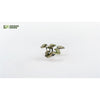 Gamers Grass Laser Plants Bugloss