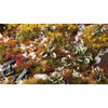 Gamers Grass Laser Plants Bugloss