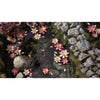 Gamers Grass Laser Plants Lotus Flower