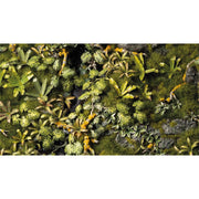 Gamers Grass Boxed Sets Jungle Floor Basing Box