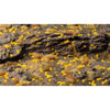 Gamers Grass Grass Tufts Tiny Golden 1mm