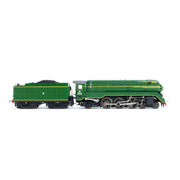 Gopher Models N Scale C38 Class Locomotive NSWGR3801 Streamliner Newcastle Flyer
