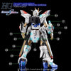 G-Rework CD-H250 Premium Decal for HG Mighty Strike Freedom Gundam