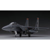 Hasegawa 01569 1/72 F-15E Strike Eagle