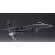 Hasegawa 01569 1/72 F-15E Strike Eagle