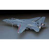 Hasegawa H07212 1/48 F-14D Tomcat CVW-14