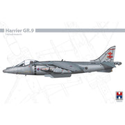 Hobby 2000 48044 1/48 BAe Harrier GR.9
