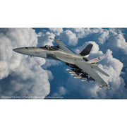 Hasegawa 1/72 Ace Combat F/A-18E Super Hornet Joker