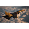 Hasegawa 1/72 Ace Combat 8 Wings of Theve Su-33 Flanker D Shadows