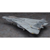 Hasegawa 1/72 "Macross Zero" F-14