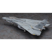 Hasegawa 1/72 "Macross Zero" F-14