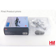 Hobbymaster 2651 1/72 Harrier GR.9A ZG478 41 (R) Sqn. RAF Coningsby Air Base March 2006