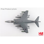 Hobbymaster 2651 1/72 Harrier GR.9A ZG478 41 (R) Sqn. RAF Coningsby Air Base March 2006