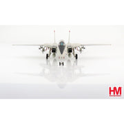 Hobbymaster 5230 1/72 Grumman F-14A Queen of Spades 162689 VF-41 Black Aces Operation Desert Storm June 1991