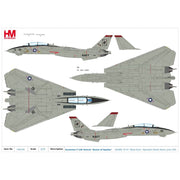 Hobbymaster 5230 1/72 Grumman F-14A Queen of Spades 162689 VF-41 Black Aces Operation Desert Storm June 1991