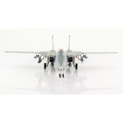Hobby Master 5243 1/72 Grumman F14B Tomcat US Navy, OEF 163220, VF-143 Pukin Dogs, 2002