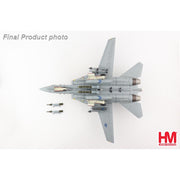 Hobby Master 5243 1/72 Grumman F14B Tomcat US Navy, OEF 163220, VF-143 Pukin Dogs, 2002