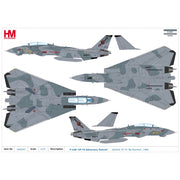 Hobbymaster 5247 1/72 F-14B VF-74 Adversary Tomcat 162919 VF-74 Be-Devilers 1994
