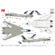 Hobby Master 1/72 F-14A "Tomcat" 159434 VF-143 "Punkin Dogs" NAS Oceana Virginia 1976